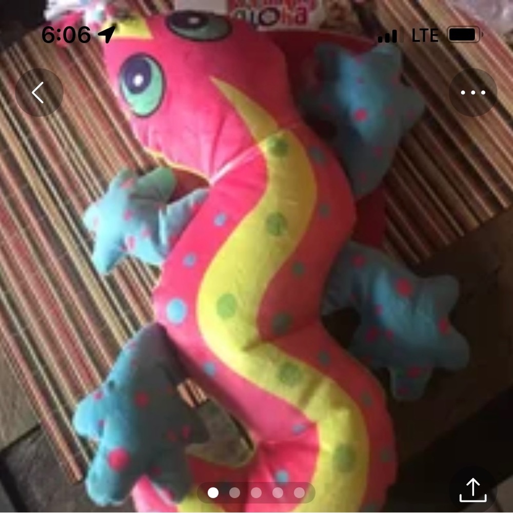 Kong dog tog